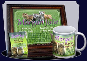 PC-AN50, Name Meaning Card, Wallet Sized, with Bible Verse morgan cute fuzzy kittens cats