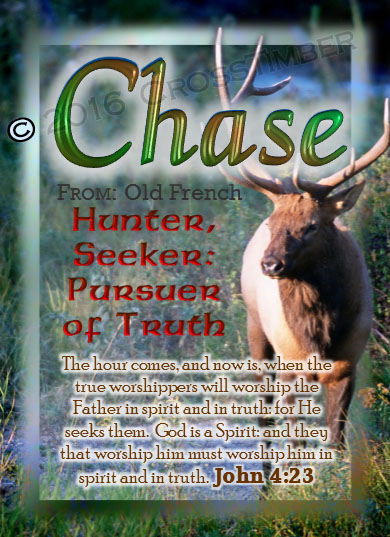 PC-AN12, Name Meaning Card, Wallet Sized, with Bible Verse chase buck deer elk hunt hunter wild