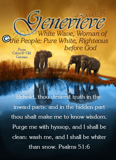 PC-SC47, Name Meaning Card, Wallet Sized, with Bible Verse, personalized, genevieve elephant world water