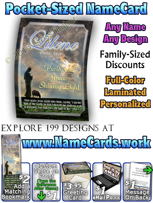 PC-AN34, Name Meaning Card, Wallet Sized, with Bible Verse memorial remembrance lileen shepherd sheep lamb