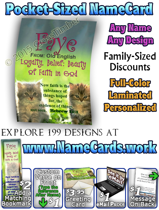 PC-AN51, Name Meaning Card, Wallet Sized, with Bible Verse faye cute fuzzy kittens cats