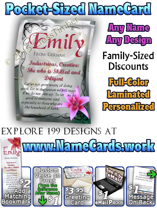 PC-FL09, Name Meaning Card, Wallet Sized, with Bible Verse, personalized, flower, emily pink lily