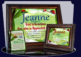 PC-AN61, Name Meaning Card, Wallet Sized, with Bible Verse ladybug bug jeanne garden