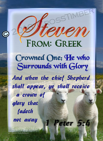 PC-AN03, Name Meaning Card, Wallet Sized, with Bible Verse two lambs sheep Steven