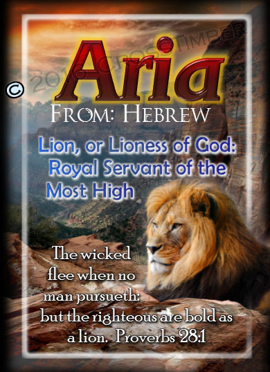 PC-AN09, Name Meaning Card, Wallet Sized, with Bible Verse, aria, lion, canyon, bravery, courage