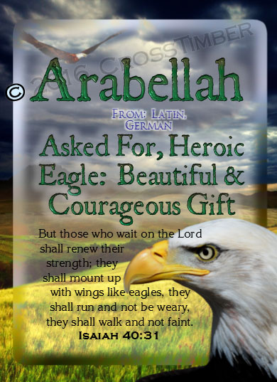PC-AN23, Name Meaning Card, Wallet Sized, with Bible Verse bird arabellah bald eagle