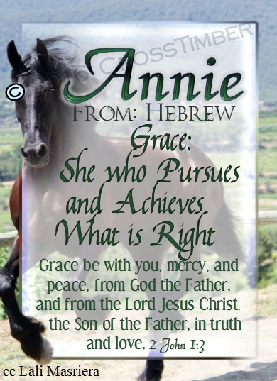 PC-AN29, Name Meaning Card, Wallet Sized, with Bible Verse Jaimy black horse beauty stallion