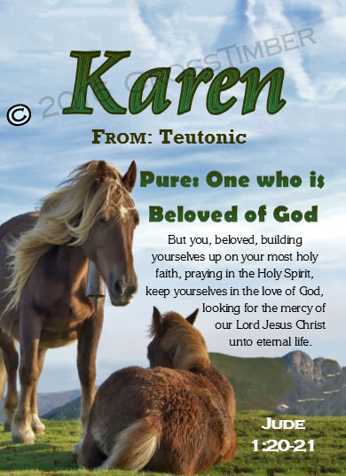 PC-AN44, Name Meaning Card, Wallet Sized, with Bible Verse karen horses mother mom child