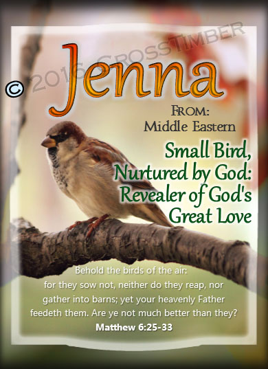 PC-AN63, Name Meaning Card, Wallet Sized, with Bible Verse Jenna bird birds sparrow