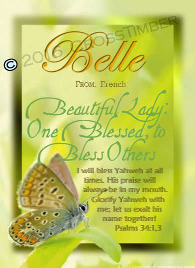 PC-BF14, Name Meaning Card, Wallet Sized, with Bible Verse butterfly belle green garden