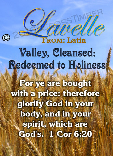 PC-GR05, Name Meaning Card, Wallet Sized, with Bible Verse, personalized, lavelle grain field harvest