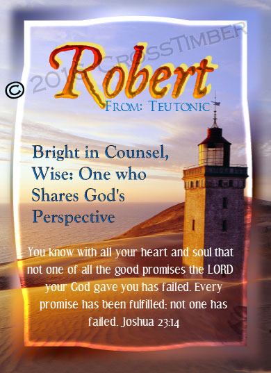 PC-LH14, Name Meaning Card, Wallet Sized, with Bible Verse, personalized, lighthouse light, ocean robert bob