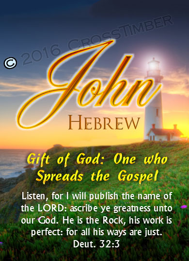 PC-LH33, Name Meaning Card, Wallet Sized, with Bible Verse, personalized, lighthouse light john
