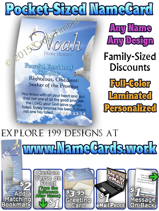 PC-AN13, Name Meaning Card, Wallet Sized, with Bible Verse noah dove peace