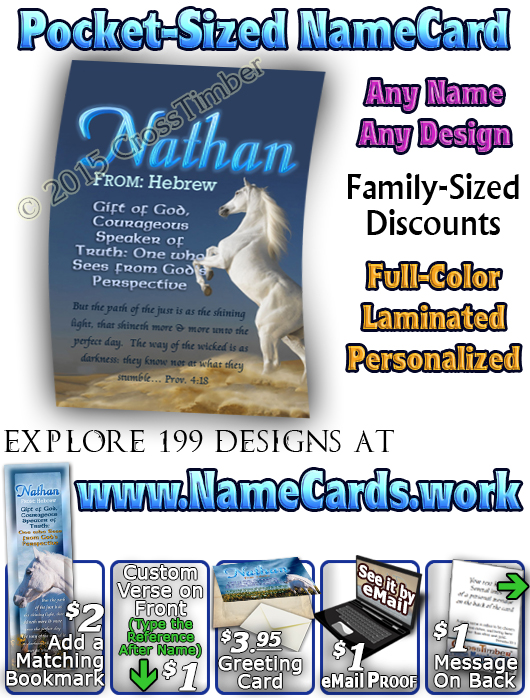 PC-AN26, Name Meaning Card, Wallet Sized, with Bible Verse Nathan white horse