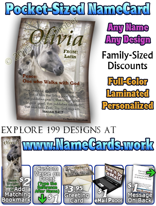 PC-AN45, Name Meaning Card, Wallet Sized, with Bible Verse mom mother child horses white olivia