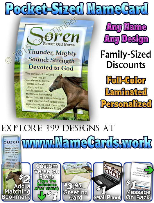 PC-AN49, Name Meaning Card, Wallet Sized, with Bible Verse soren brown horse house