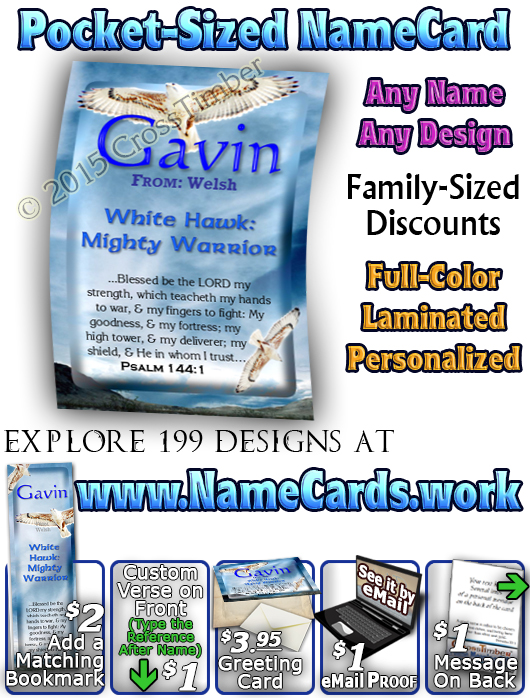 PC-AN52, Name Meaning Card, Wallet Sized, with Bible Verse  white hawk Gavin bird