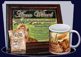 PC-AN05, Name Meaning Card, Wallet Sized, with Bible Verse Ayan Lion Lioness, pride african