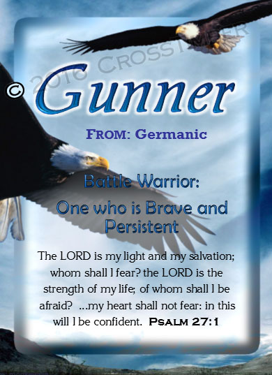 PC-AN38, Name Meaning Card, Wallet Sized, with Bible Verse gunner bald eagle bird