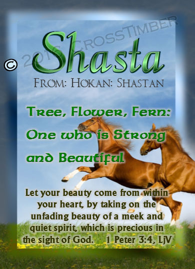 PC-AN42, Name Meaning Card, Wallet Sized, with Bible Verse Playful Horses happy joyful Shasta brown