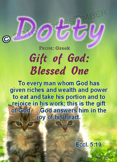 PC-AN50, Name Meaning Card, Wallet Sized, with Bible Verse morgan cute fuzzy kittens cats