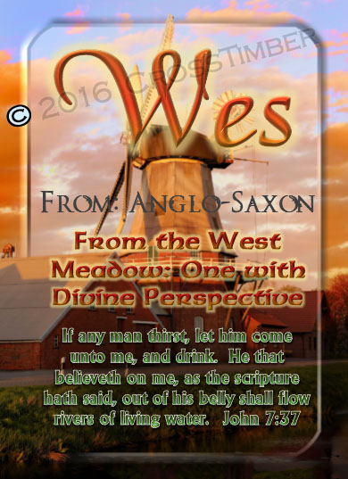 PC-SC36, Name Meaning Card, Wallet Sized, with Bible Verse, personalized,, wes, windmill, scenery