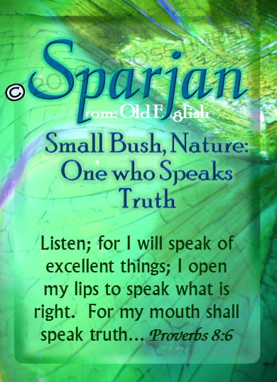 PC-SM20, Name Meaning Card, Wallet Sized, with Bible Verse, personalized, sparjan green butterfly wings crystal